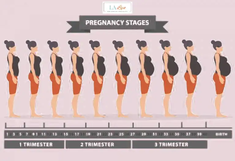 First Trimester (Weeks 1–12): Early Changes You Might Not Notice Welwyn Garden City
